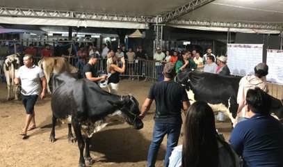 Com Parque de Exposição revitalizado, feira agropecuária recebe cerca de 15 mil pessoas em Cajazeiras