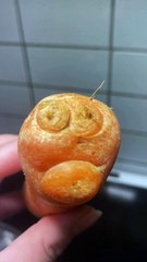 Seeing Faces in Everyday Objects - Part 108