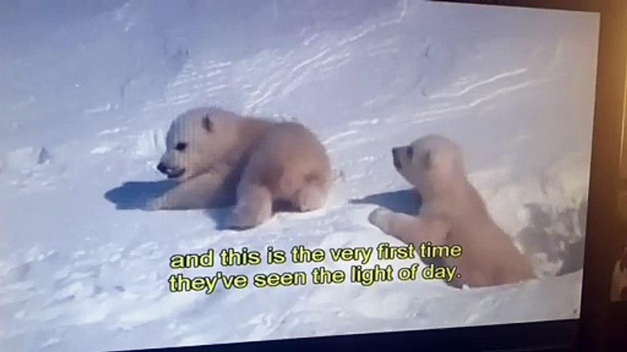 VID_20240902_095518