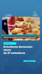 Avicultores denuncian cierre de 27 mataderos
