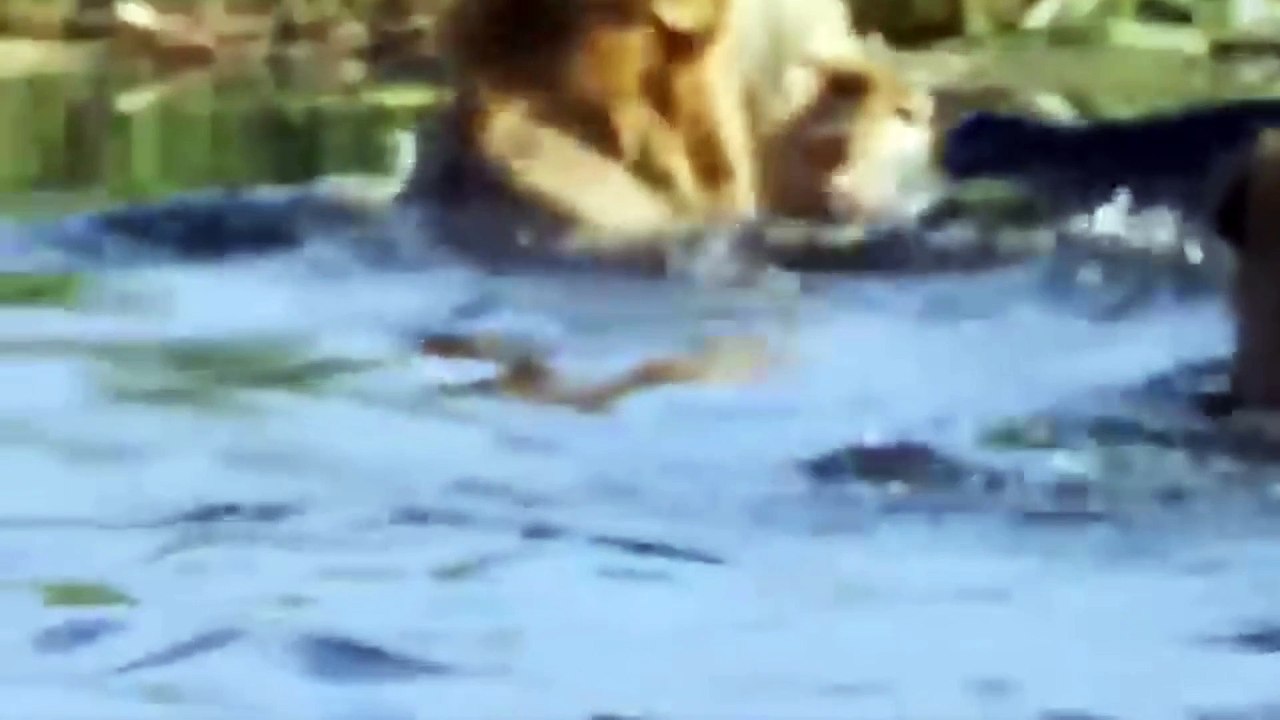 DANGEROUS PREY