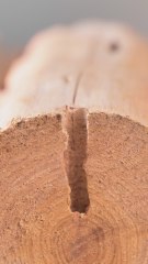 Organize Your Garage with These Brilliant Hacks! 