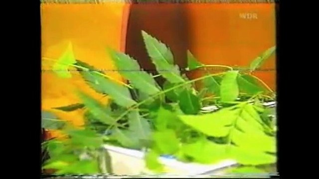 7200 Franziska Rubin