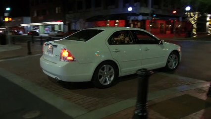 Nite Time Creatures | movie | 2018 | Official Trailer