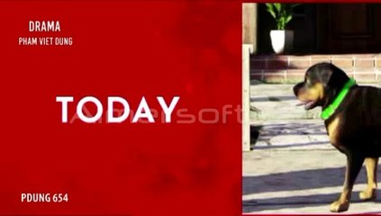 DRAMA 654 PHAM VIET DUNG (DRAPHAM)