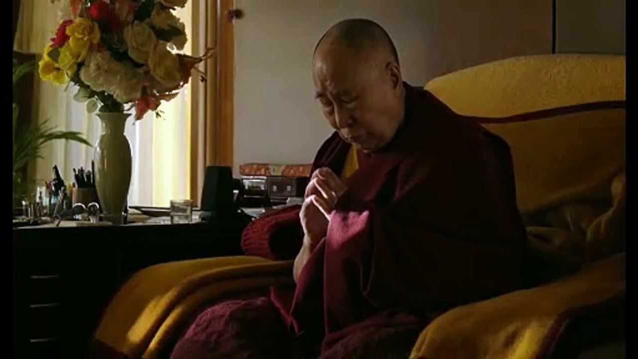 Wisdom of happiness film