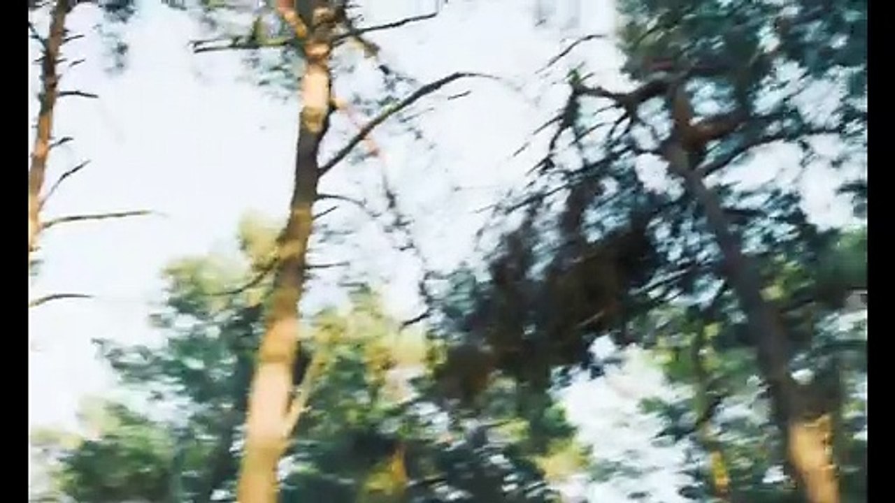 In liebe eure hilde film