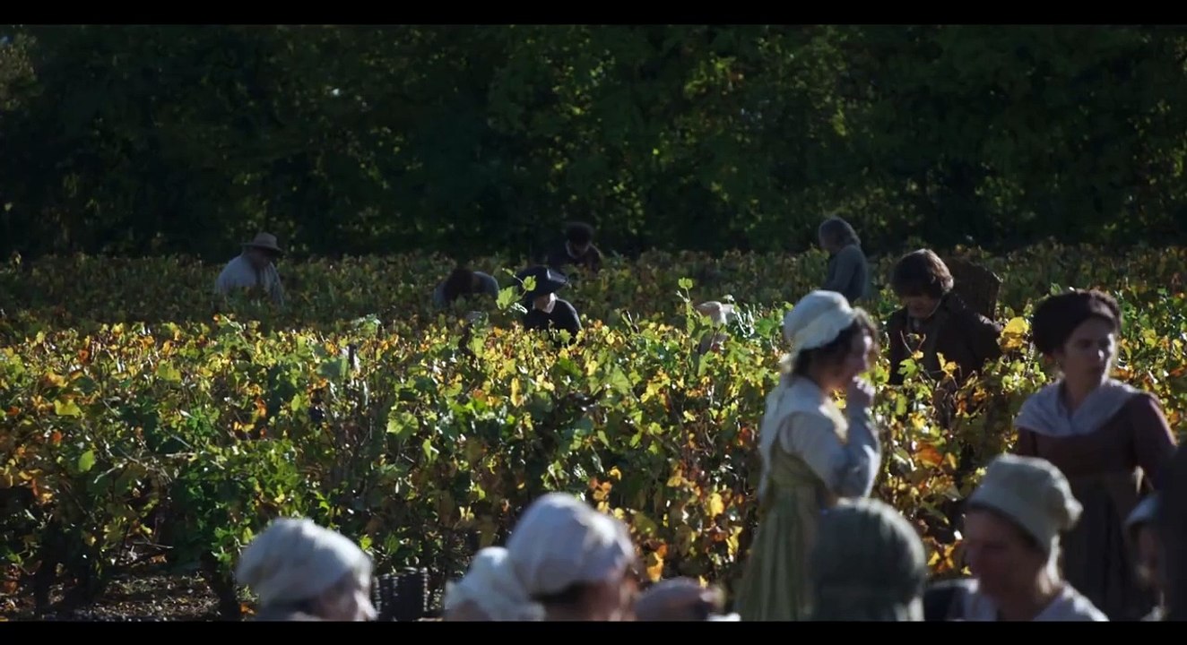 DIE WITWE CLICQUOT Film