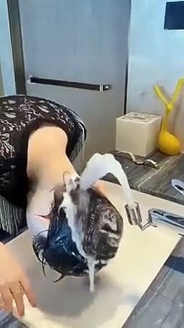 720 Degrees Flexible Faucet #shorts #shortvideo #video #virals #videoviral #innovationhub