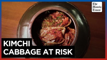 Climate change puts South Korea's home-grown Kimchi at risk