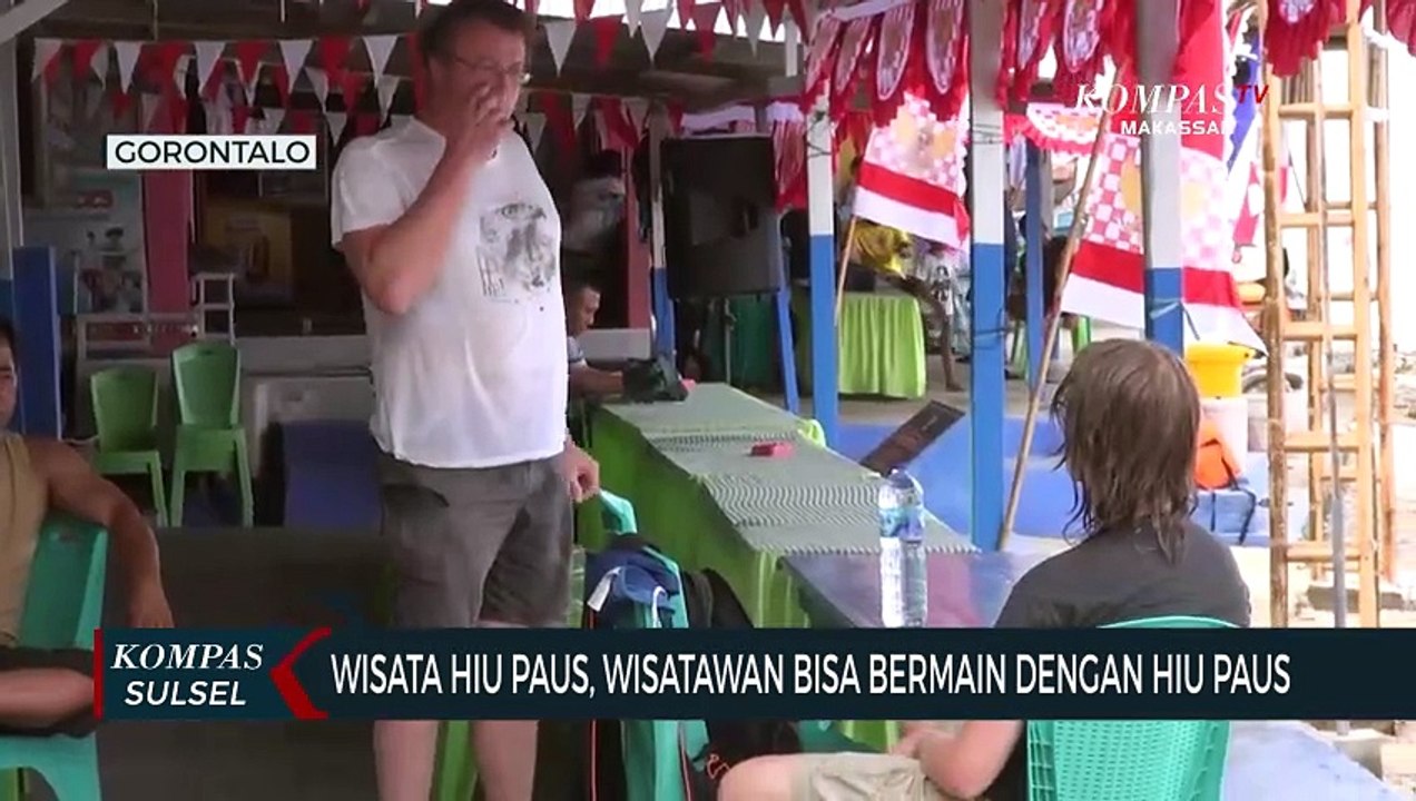 Wisata Hiu Paus, Wisatawan Bisa Bermain Dengan Hiu Paus