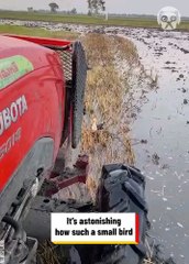 Here's my latest video