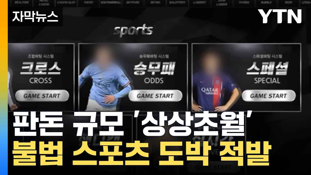 [자막뉴스] 4천억 대 불법 스포츠 도박...조직원들 마약 투여 정황도 포착 / YTN