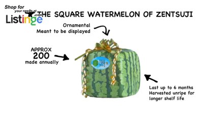 Watermelon Square Regarding Price and Packaging