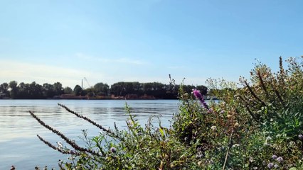 [Ambient Recording] Tiefstack Power Station - 002