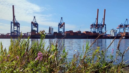 [Ambient Recording] HHLA Container Terminal Altenwerder - 001