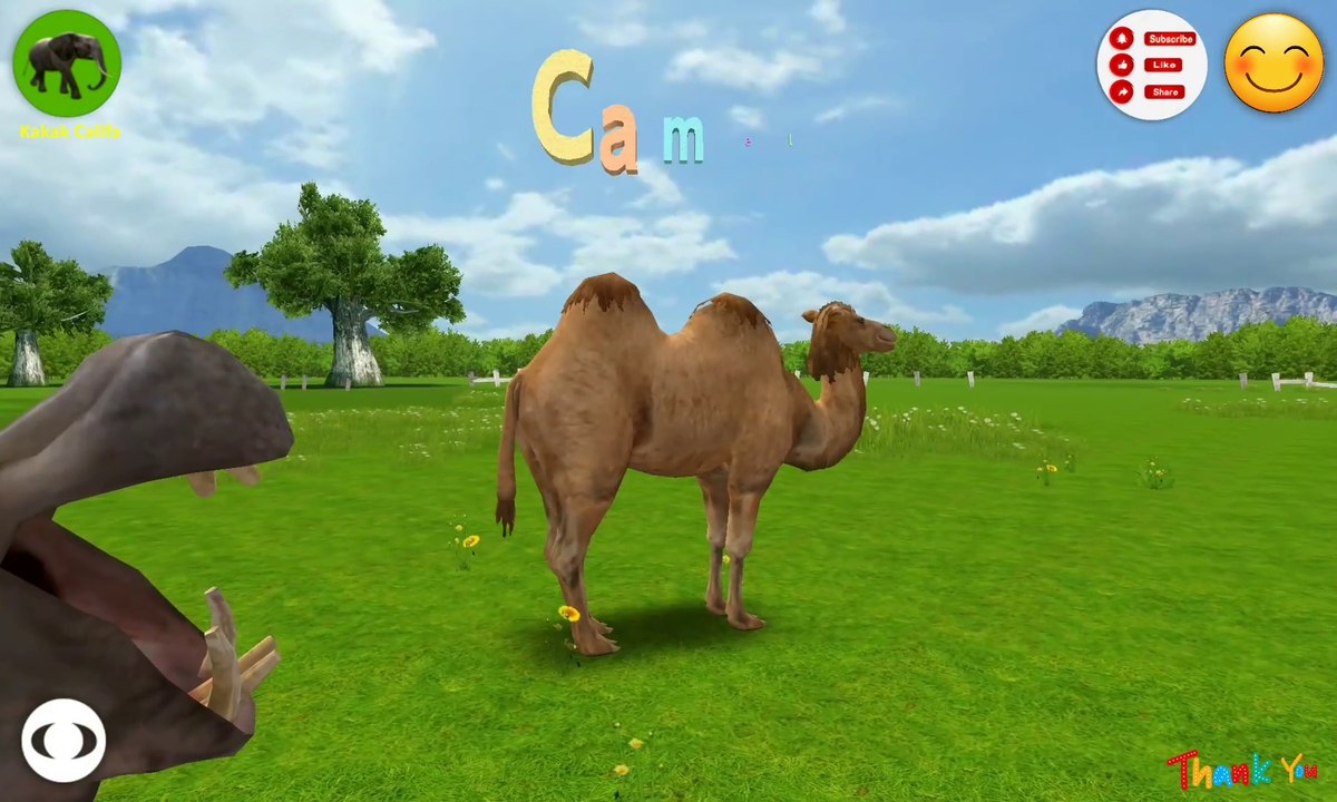 HIPPOPOTAMUS I HD