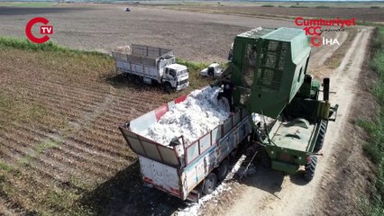 Pamuk ağalarıyla ünlü Adana’da ‘Beyaz altın’ hasadı başladı