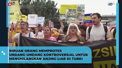 Ribuan Demonstran Tuntut Pencabutan UU Pemusnahan Anjing Liar di Turki