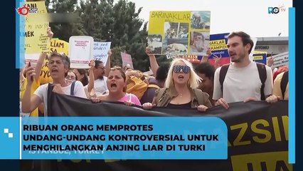 RIBUAN ORANG MEMPROTES UNDANG-UNDANG KONTROVERSIAL UNTUK MENGHILANGKAN ANJING LIAR DI TURKI