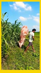 burkha baji funnyvideos #funny #shorts #trending #mayag #dailyvlogs #new