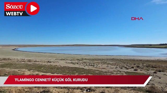 'Flamingo cenneti' Küçük Göl kurudu