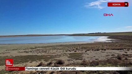 Konya'da flamingo cenneti olarak bilinen Küçük Göl kurudu