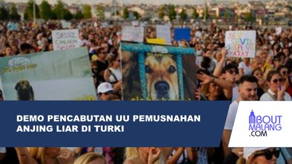 RIBUAN DEMONSTRAN TUNTUT PENCABUTAN UU PEMUSNAHAN ANJING LIAR DI TURKI