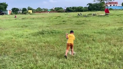 Học trò thầy Thích Minh Tuệ thả diều sáo tom and jerry