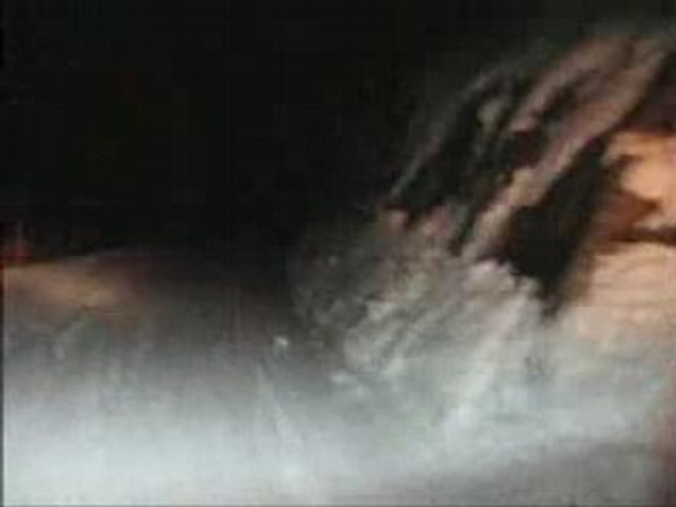 Dameuse (St Colomban des Villards)