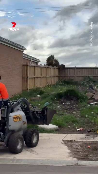 Un saut de kangourou incroyable