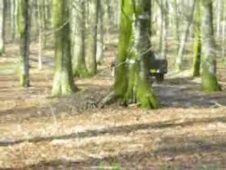 Dodge Ram 5.7L 2004 - The Undertaker (2)