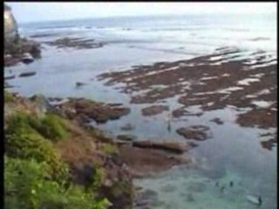 Indo 2005 (1)