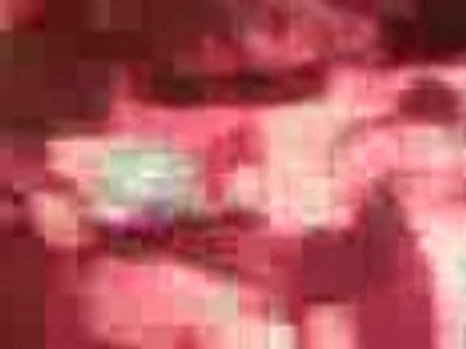 Vidéo005