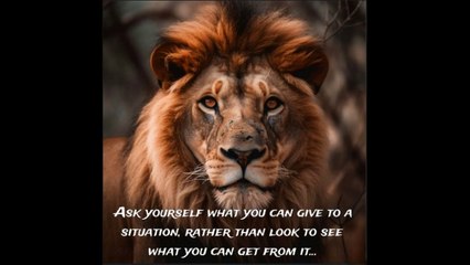 Attitude motivations | life success