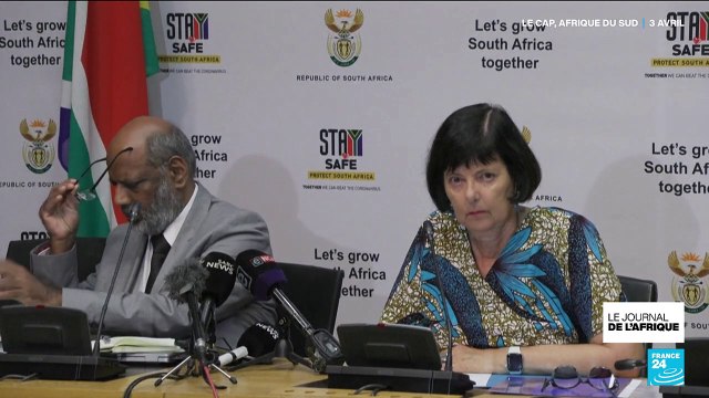 Afrique du Sud : les éleveurs inquiets face à l'interdiction de l'élevage de lions