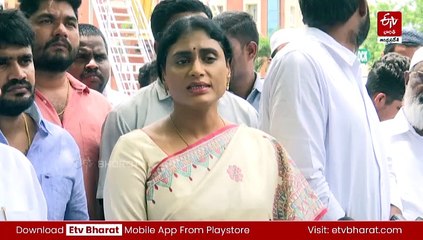 ముంబయి నటిపై షర్మిల తీవ్ర వ్యాఖ్యలు: కాదంబరి జేతవాని కేసుపై వివరణ