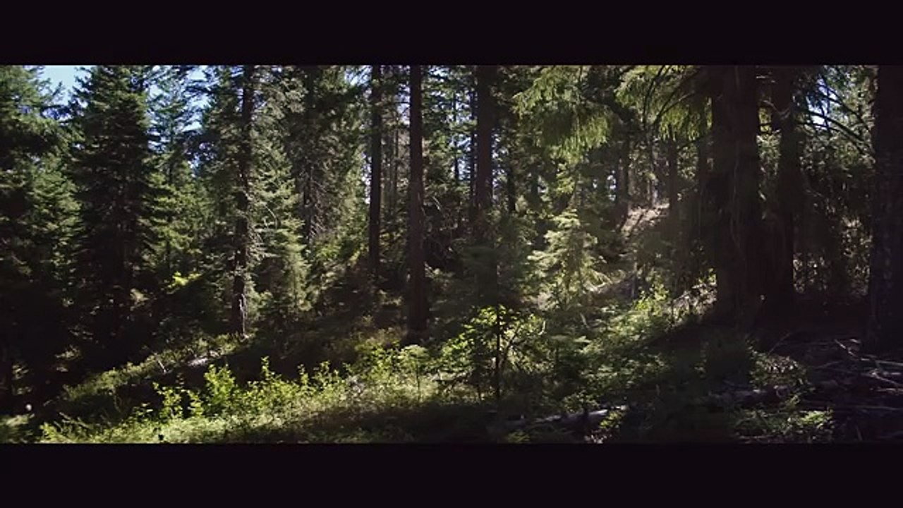 VER PESADILLAS SIN FIN  PELICULA COMPLETA ACCIÓN EN ESPANOL