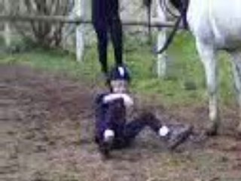 Le cso