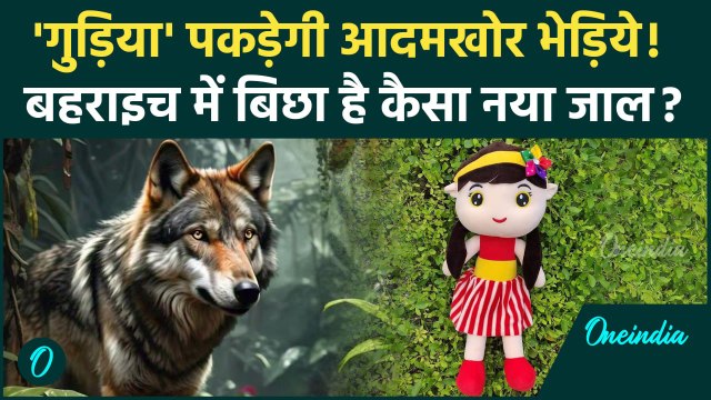 Wolf Attack in Bahraich: बहराइच में आदमखोर भेड़िया के लिए गुड़िया प्लान | Bahraich| वनइंडिया हिंदी