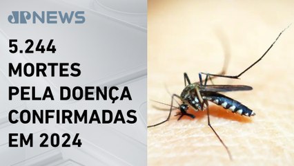 Brasil tem 6,5 milhões de casos prováveis de dengue neste ano