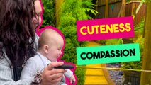 Heartwarming Moments | Cuteness and Compassion