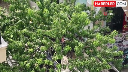 Muğla'da güneşli havada yağmur sürprizi