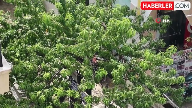 Muğla'da güneşli havada yağmur sürprizi