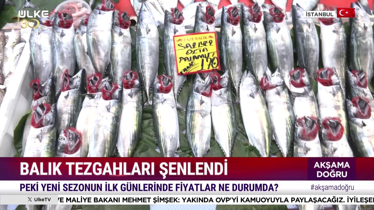 Akşama Doğru – 2 Eylül 2024