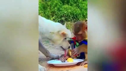 Best Funny Videos  - People Being Idiots ⧸  Try Not To Laugh #3