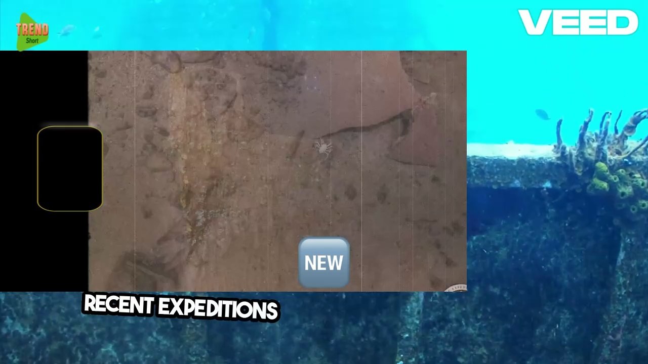 New Titanic images reveal collapse of part of famous ship's bow railing, other discoveries #Titanic