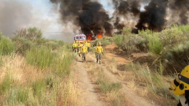 Portugal: Forest fire forces firefighters to retreat as intense flames threaten their safety