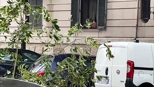 Bomba d'acqua a Roma, alberi cadono sulle auto parcheggiate a Prati