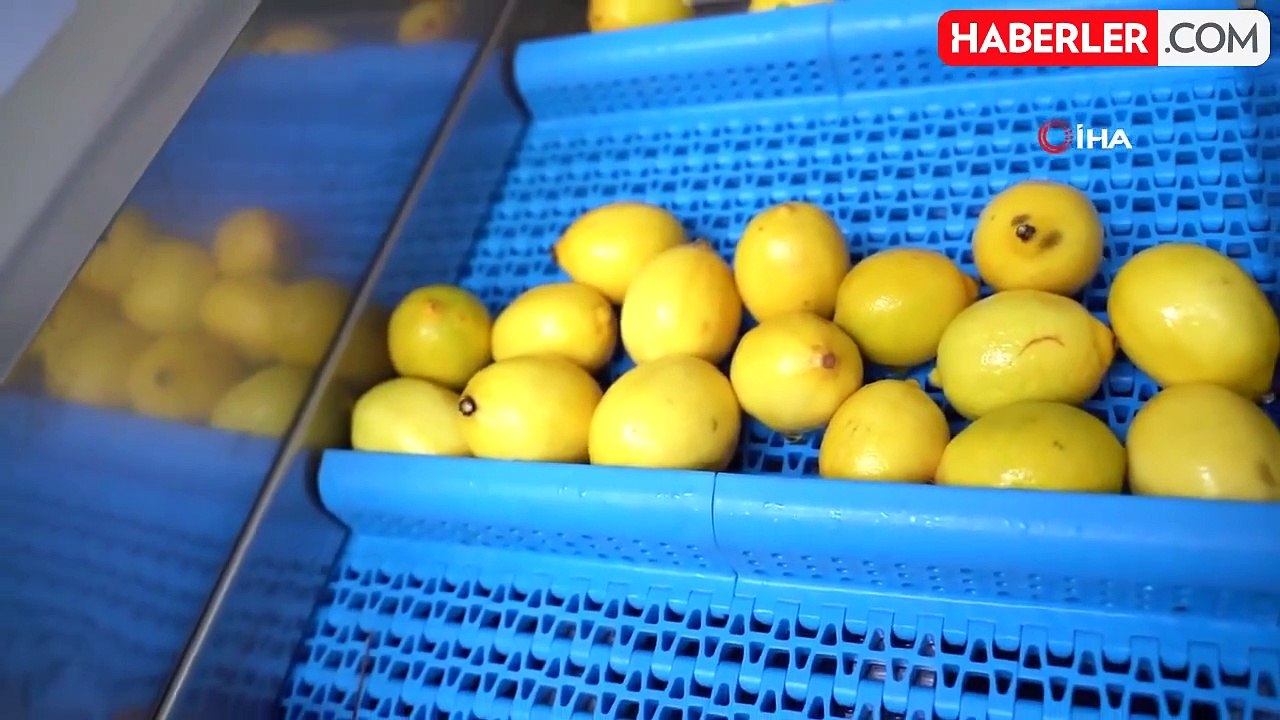 Yenilenebilir enerjiyle kurutulan ürünler ulusal pazarda yer buldu